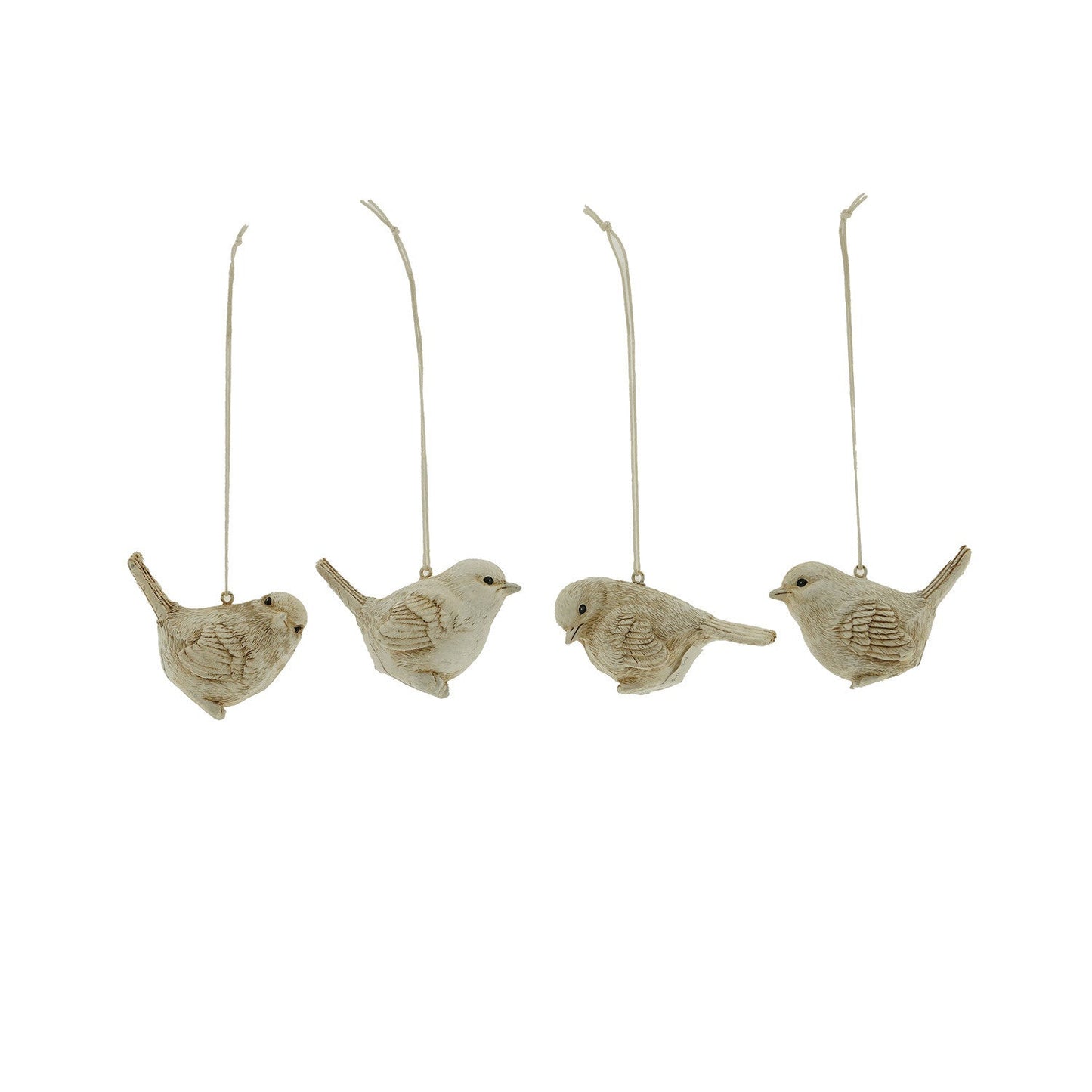 Home Society | Vogel assorti