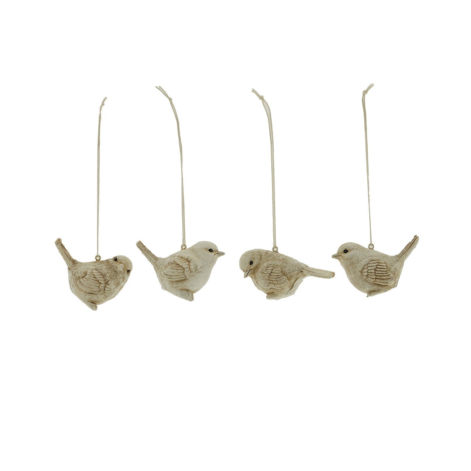 Home Society | Vogel assorti