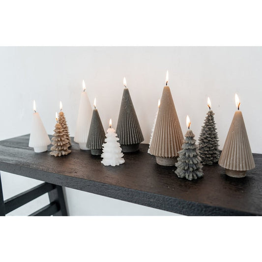 Home Society | Kaars tree James L antraciet