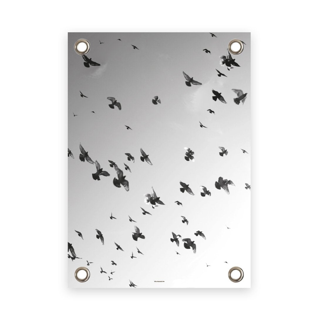 VM | Tuinposter vogels zwart wit new