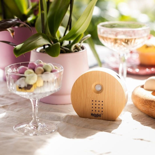 Melodiez | Soundbox met natuurgeluiden blank hout