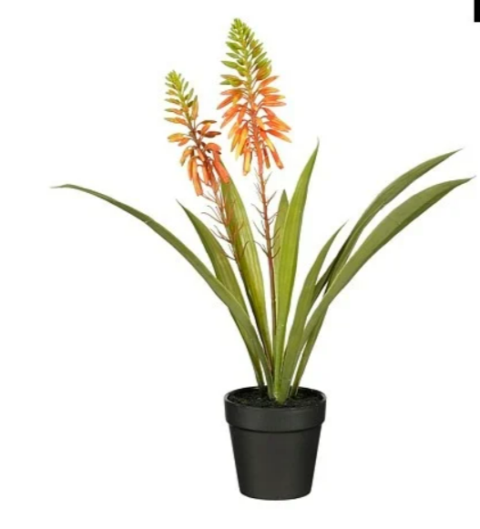 Stijl28 | Pot aloe vera oranje