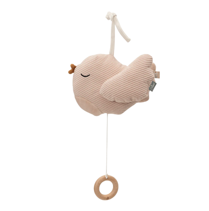 Jollein | Muziekhanger Lovely birds