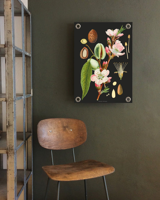 VM | Tuinposter botanisch amandel