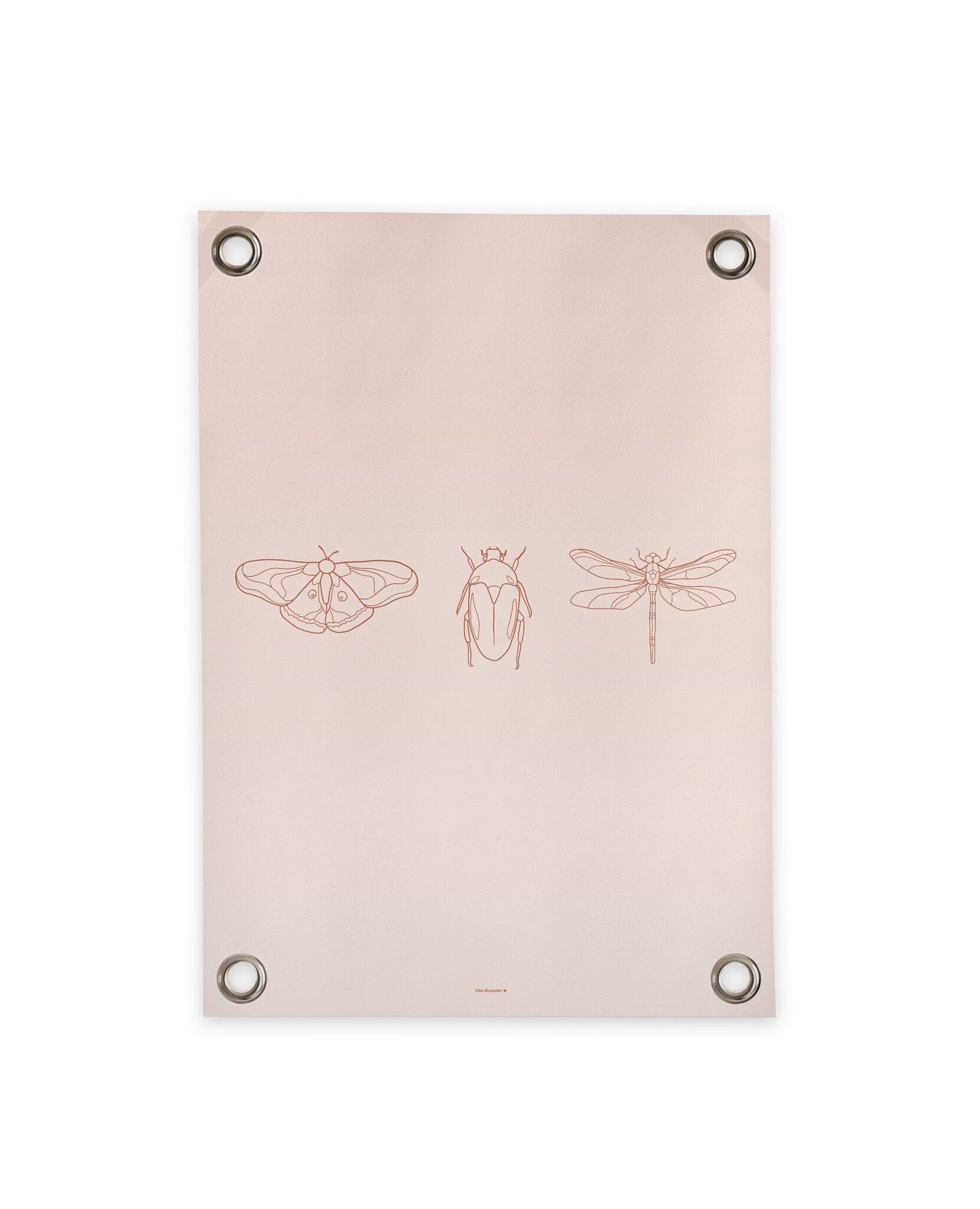 VM | Gartenposter Insekten