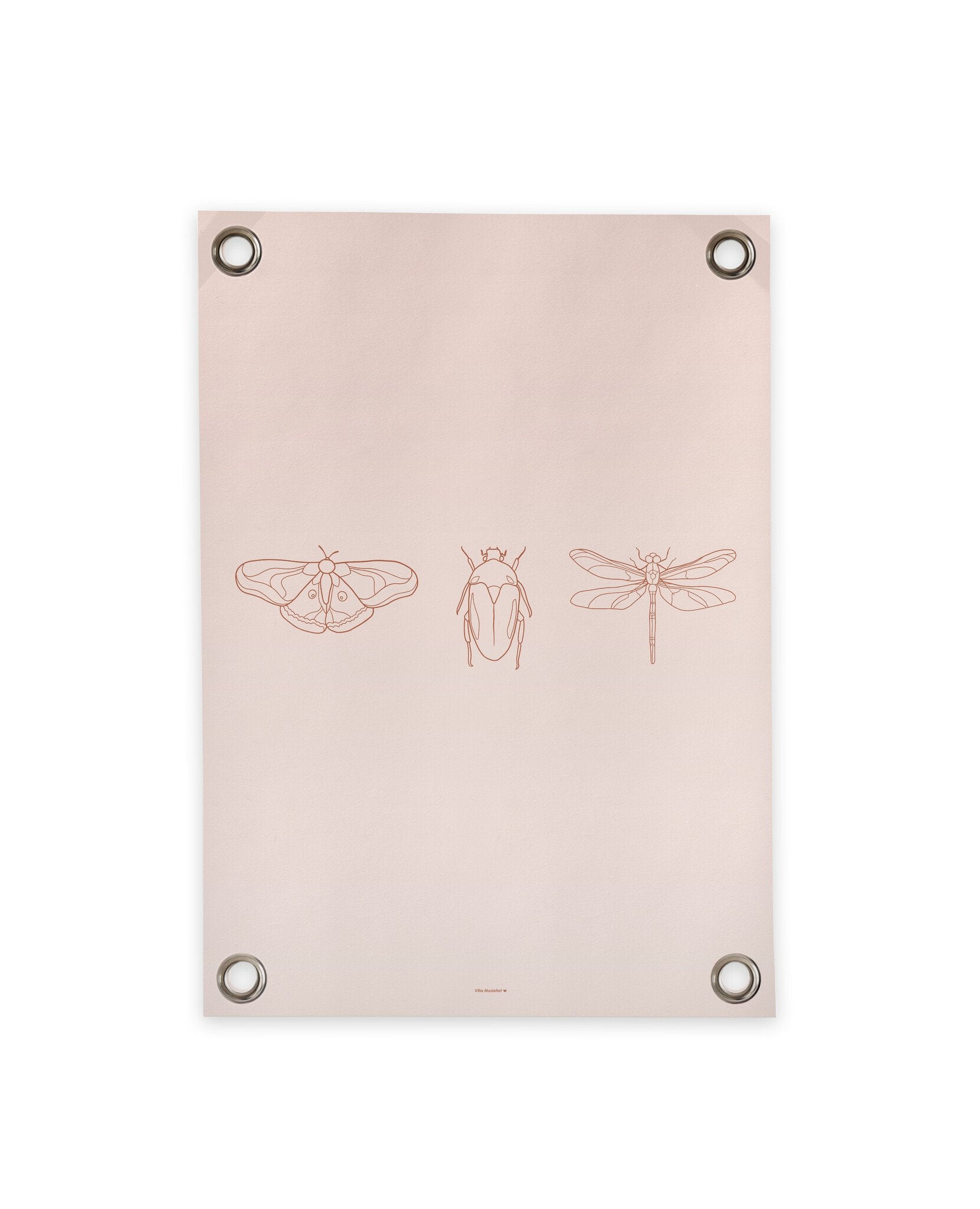 VM | Gartenposter Insekten