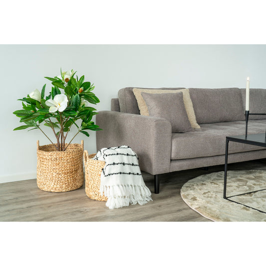 House Nordic | Manden van waterhyacinth set van 2