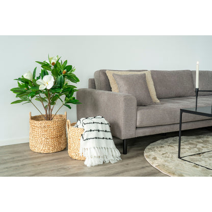 House Nordic | Manden van waterhyacinth set van 2