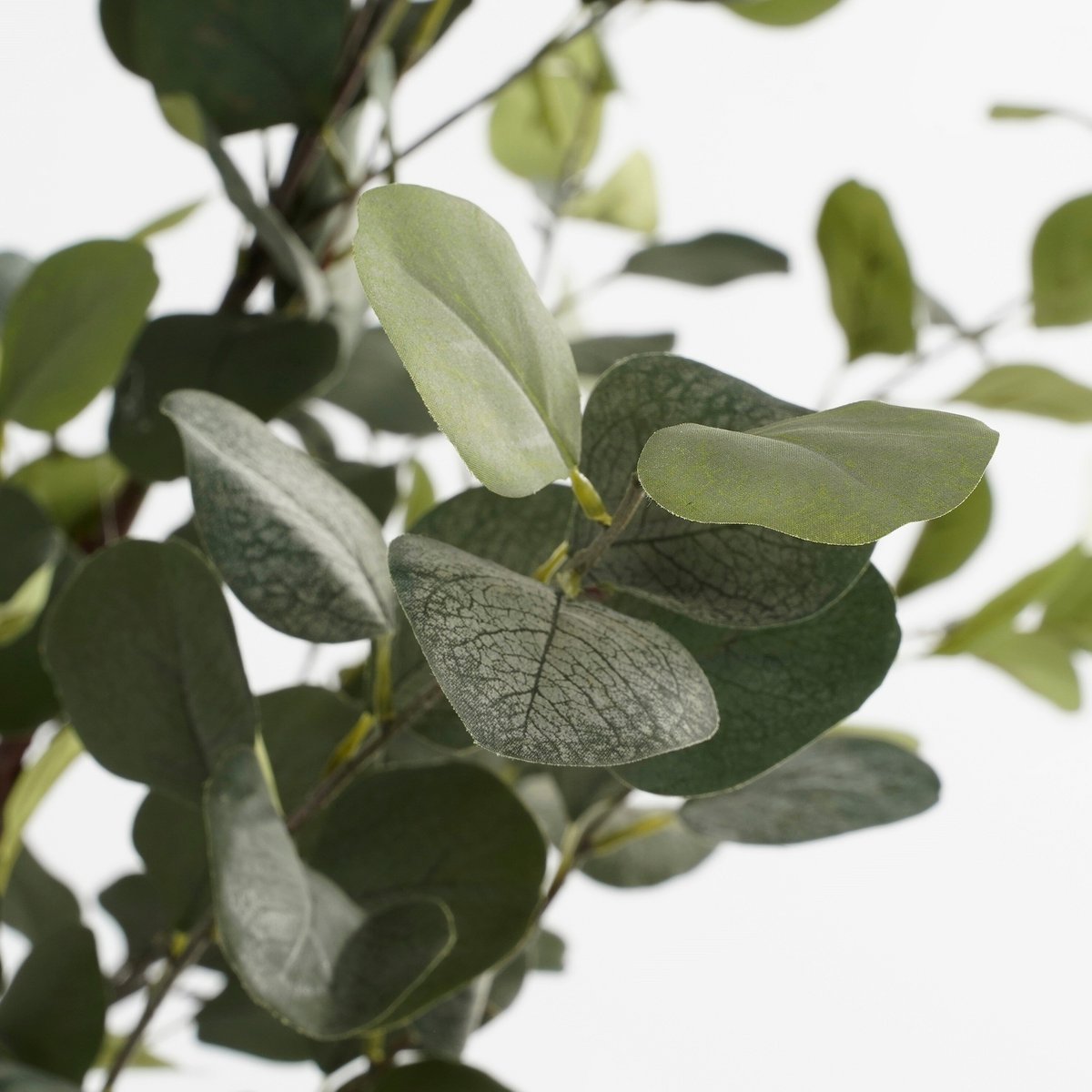 Selected by Kunstplant Eucalyptus groen