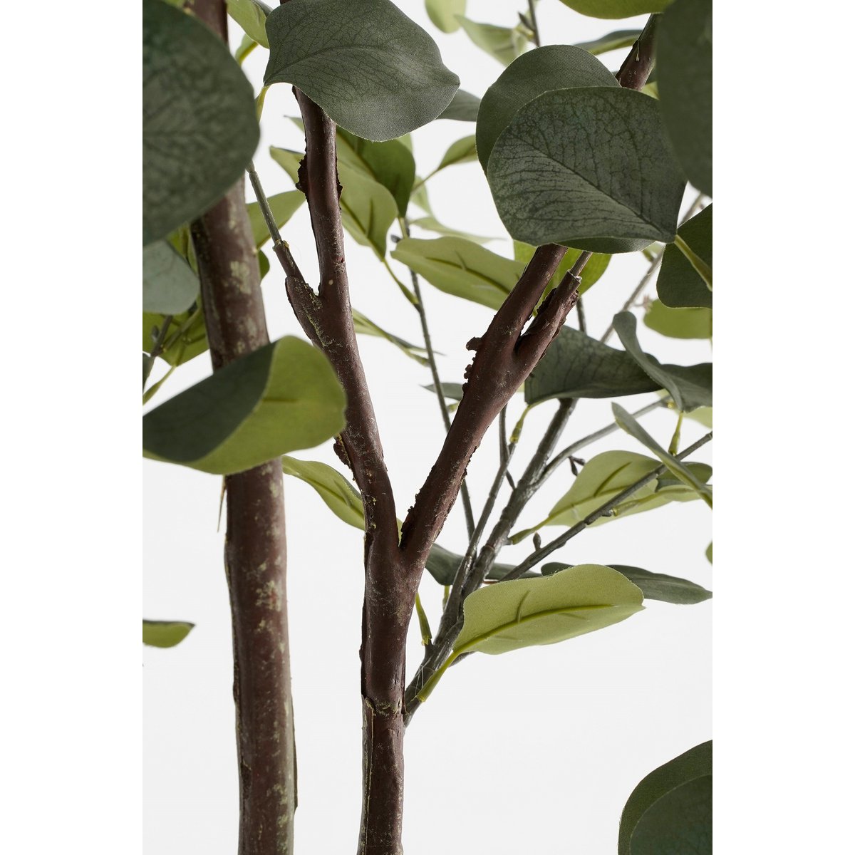 Selected by Kunstplant Eucalyptus groen