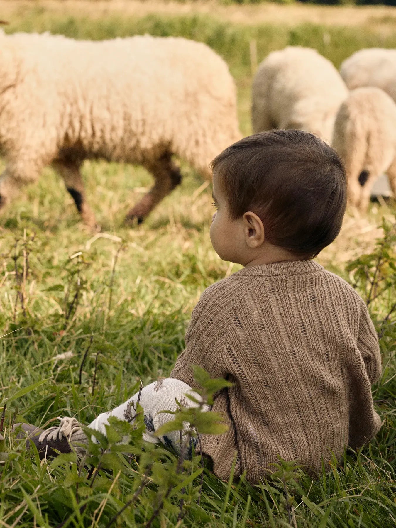 Lil Atelier | Legging wol Nalu vliegtuigjes