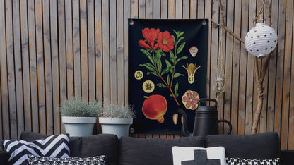 VM | Tuinposter botanisch granaatappel
