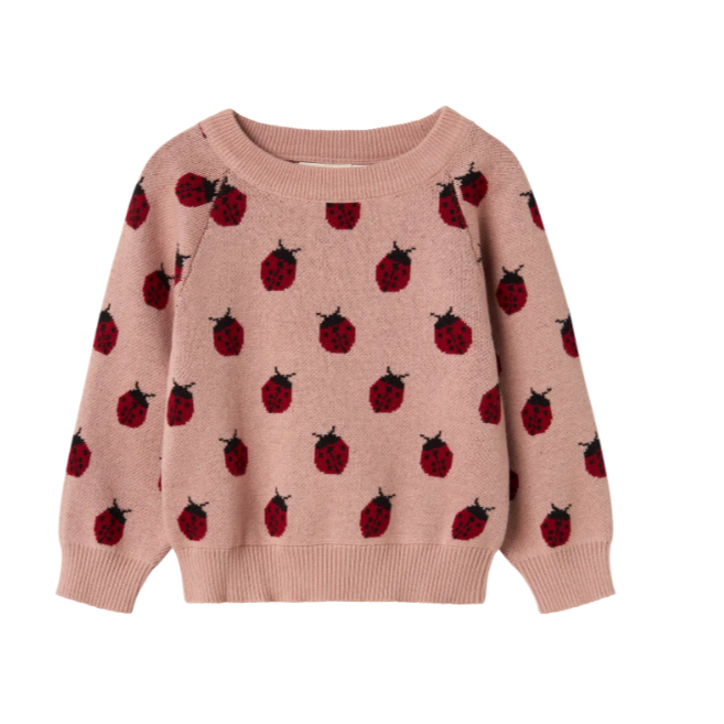 Lil Atelier | Sweater Lulio lieveheerstbeestje