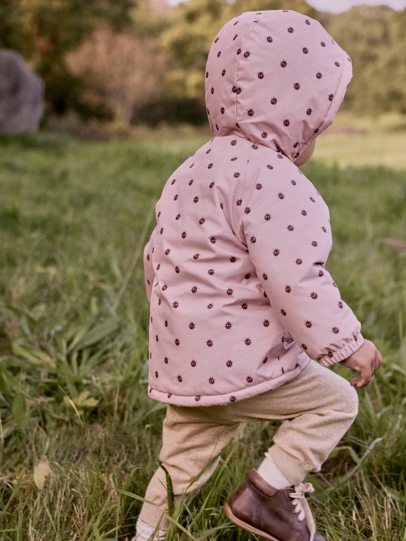 Lil Atelier | Winterjas Lasnow lieveheersbeestjes